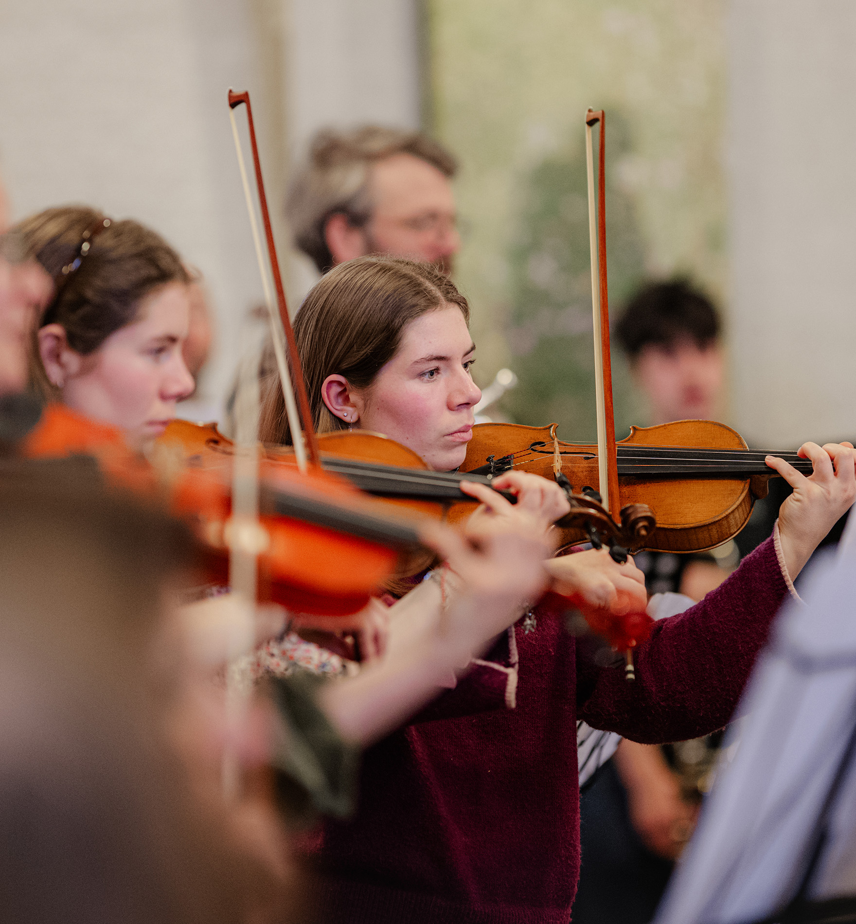 Muziekschool Pijnacker inschrijven afbeeldingen