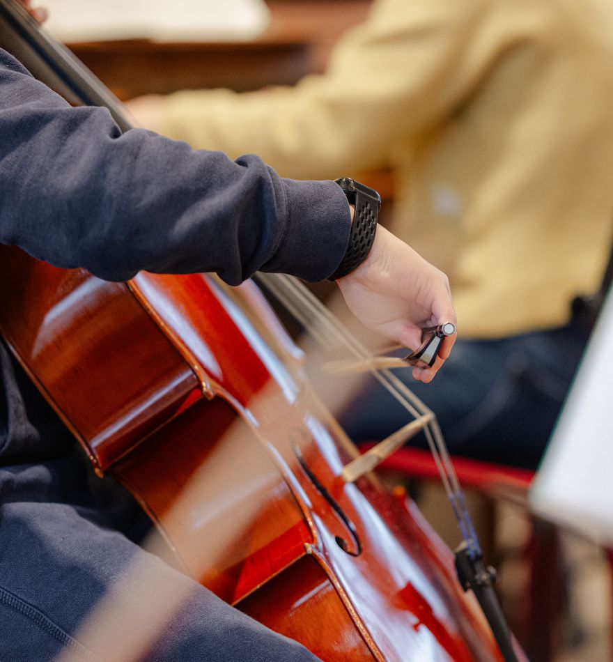 Muziekschool Pijnacker instrumenten cello