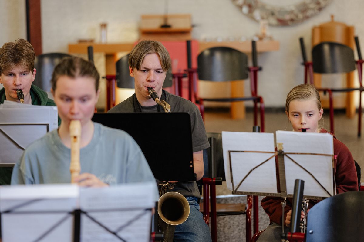 Muziekschool Pijnacker instrumenten