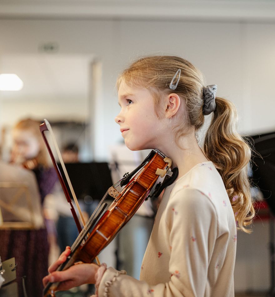 Muziekschool Pijnacker instrumenten altviool